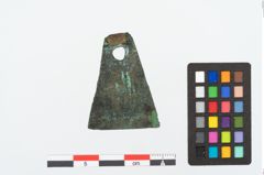 Foto von Bronzeachsnagel (NHMW-PRAE-025272)